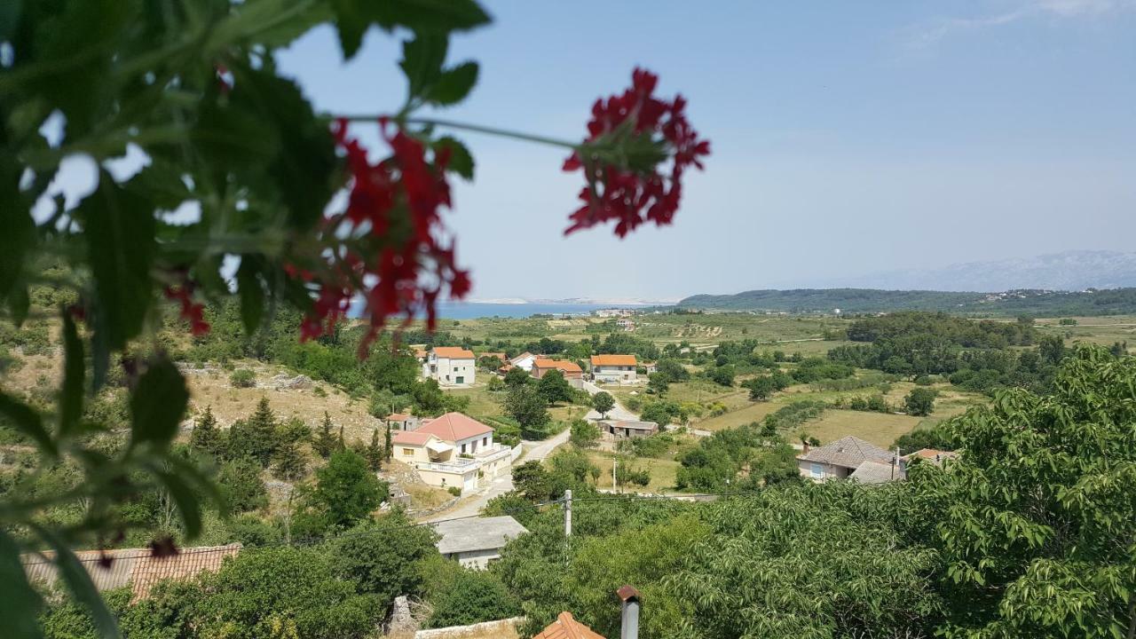 Apartment Cernesa Razanac Bagian luar foto